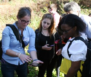 invasive-spieces-demo